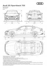 Audi S5 Sportback TDI 2019 года (WW)